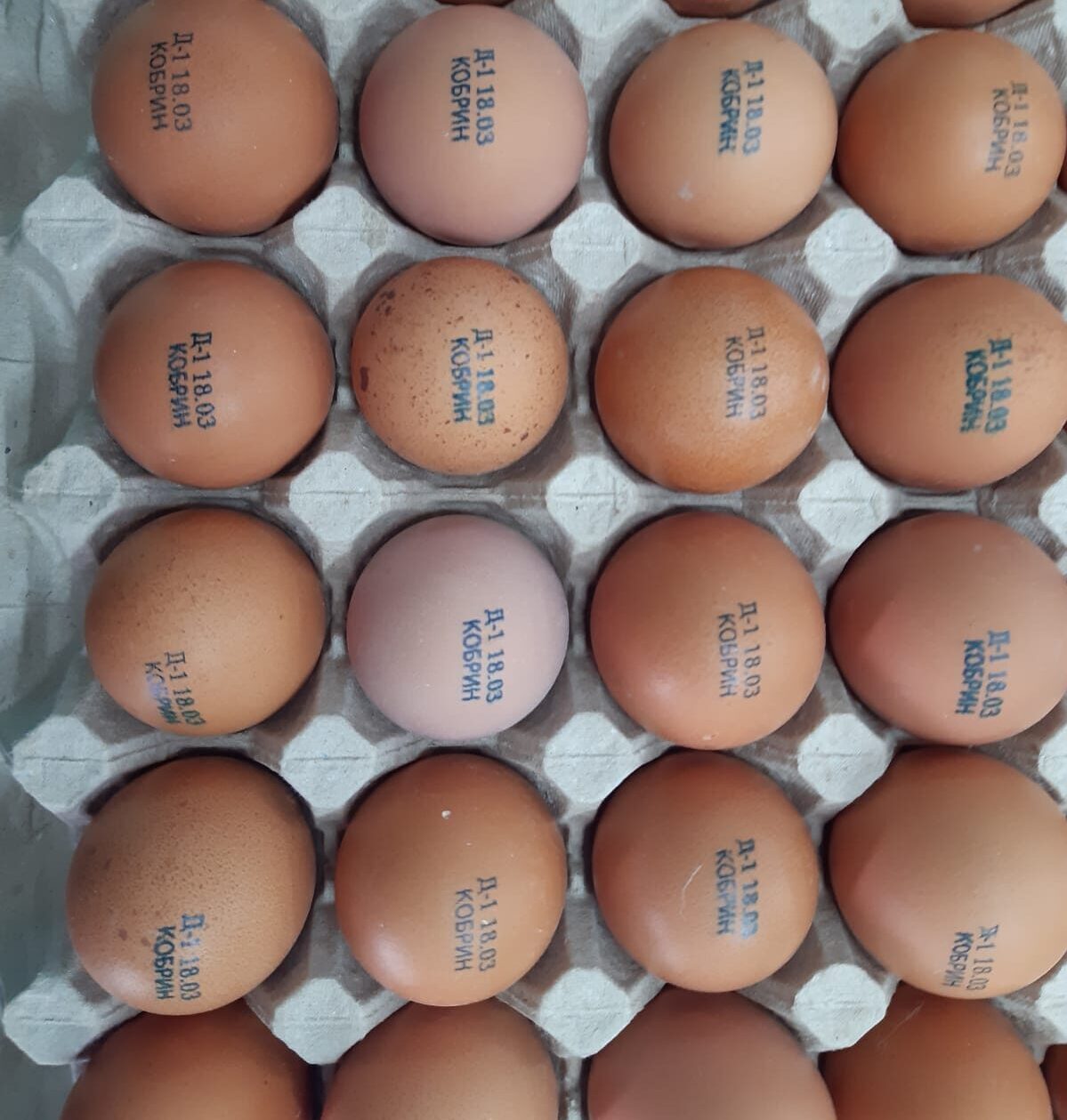Blue USDA approved FDG ink on eggs RN Mark